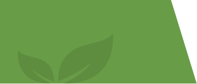 logo-bg